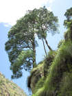 Гималаи. 2009.